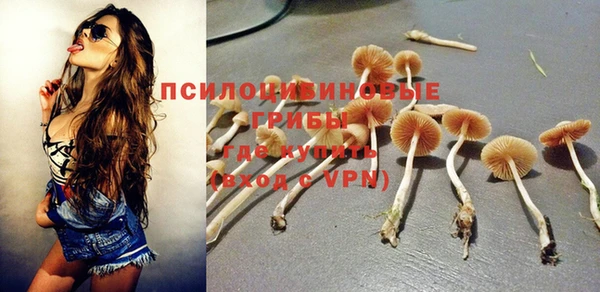 крисы Волоколамск