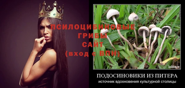 крисы Волоколамск