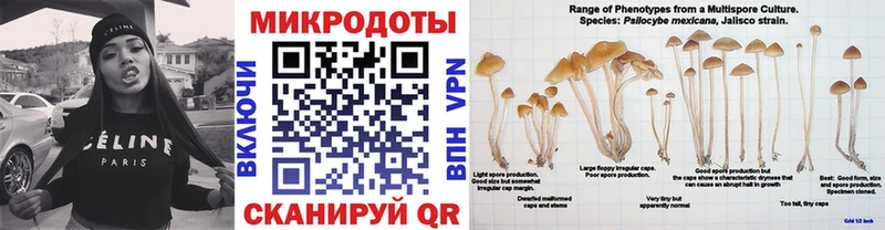 Псилоцибиновые грибы Cubensis  блэк спрут онион  Тамбов  наркошоп 